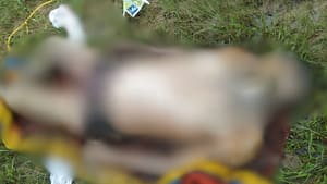 CG Surajpur News: प्रतापपुर में बंद मकान से सड़ा-गला शव मिलने से सनसनी, साथी के गायब होने से हत्या की आशंका