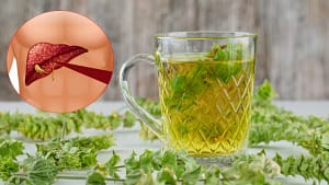 Health Tips: लिवर को हेल्दी रखने में मदद कर सकते हैं ये 7 ड्रिंक्स, जानें चिया सीड्स से ग्रीन टी तक के फायदे
