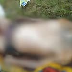 CG Surajpur News: प्रतापपुर में बंद मकान से सड़ा-गला शव मिलने से सनसनी, साथी के गायब होने से हत्या की आशंका